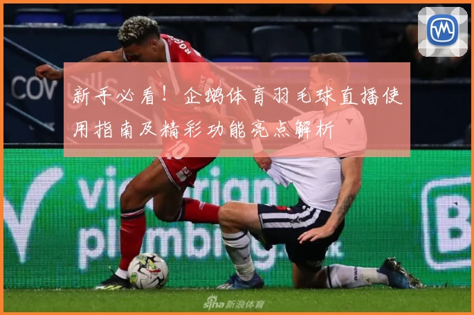 新手必看！企鹅体育羽毛球直播使用指南及精彩功能亮点解析