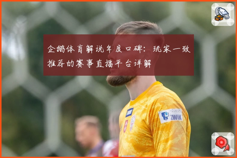 企鹅体育解说年度口碑:玩家一致推荐的赛事直播平台详解