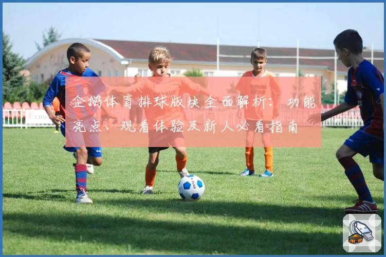 企鹅体育排球版块全面解析：功能亮点、观看体验及新人必看指南