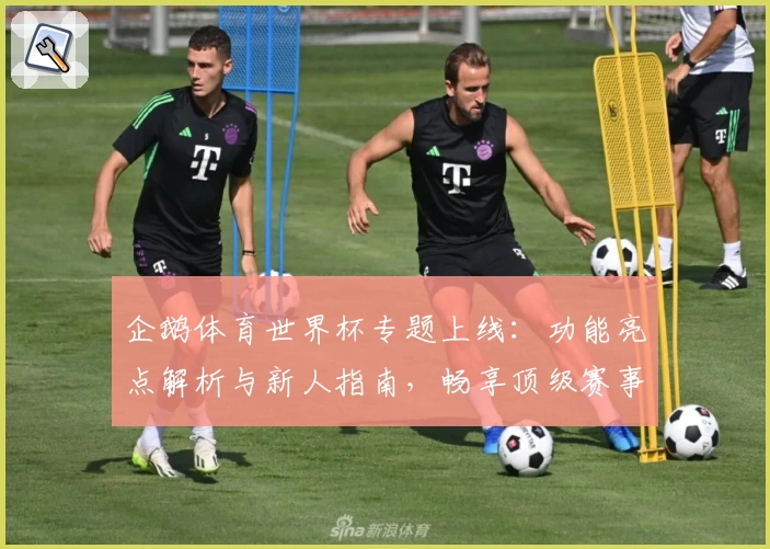 企鹅体育世界杯专题上线：功能亮点解析与新人指南，畅享顶级赛事体验
