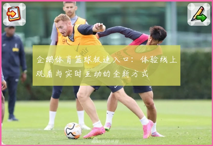 企鹅体育篮球极速入口：体验线上观看与实时互动的全新方式