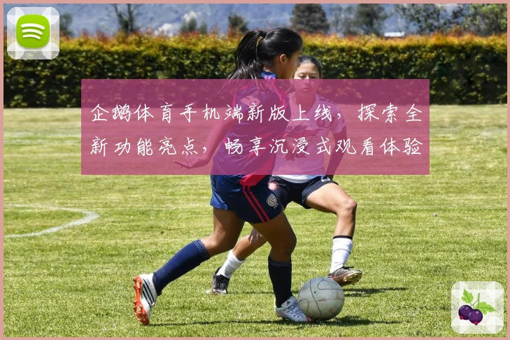 企鹅体育手机端新版上线，探索全新功能亮点，畅享沉浸式观看体验